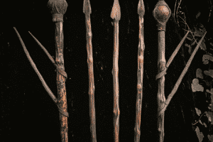 Historic-Return-of-Aboriginal-Spears-to-Australia-After-250-Years